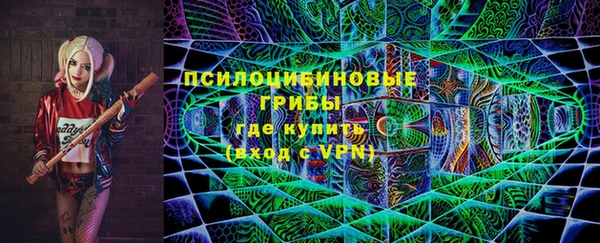 крисы Балахна