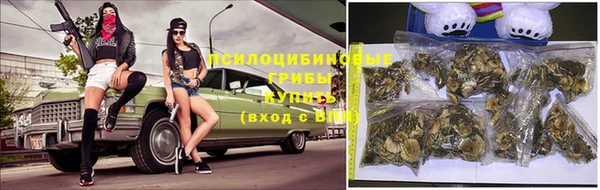 дживик Балабаново